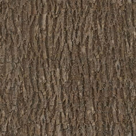 bark, wood, tree, seamless, texture, albedo #bark #wood #tree #seamless ...