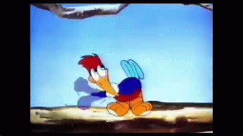 Woody Woodpecker GIF - Woody Woodpecker - Discover & Share GIFs