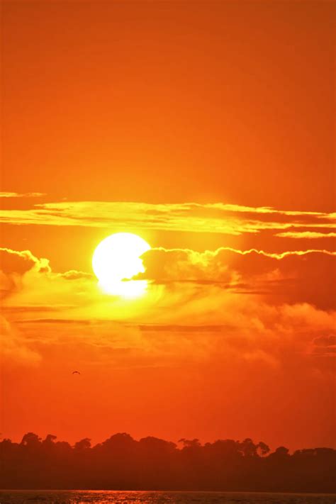 Brilliant Orange Sunset | Smithsonian Photo Contest | Smithsonian Magazine