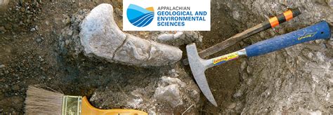 Paleontology Research | Department of Geological and Environmental Sciences