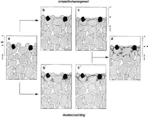 Schematic conceptualization of crust formation mechanisms and the ...