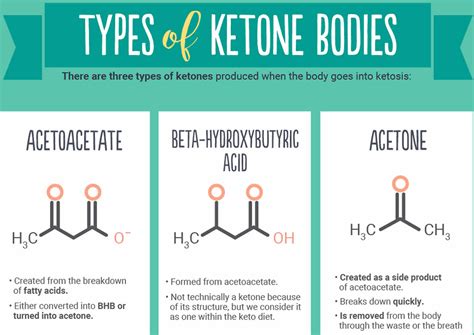 what does ketones in a dog's urine mean Ketone ketosis urine levels ...