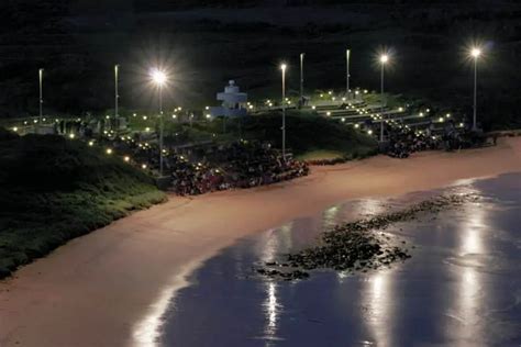 Phillip Island Penguin Parade - Fairy Penguins Discount Tickets & Prices