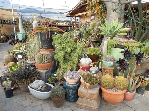 The Epiphyllum Garden: California Cactus Center