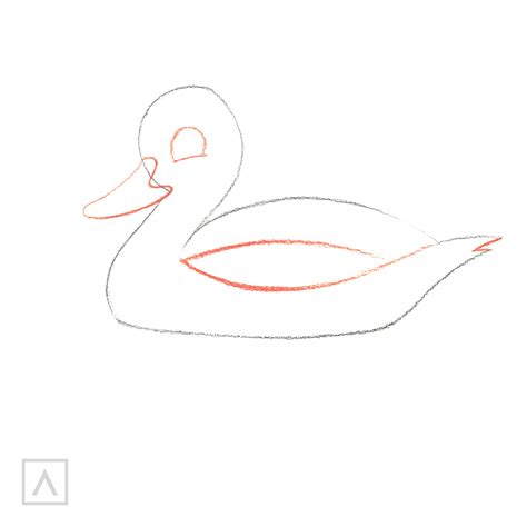 Easy Simple Duck Drawing