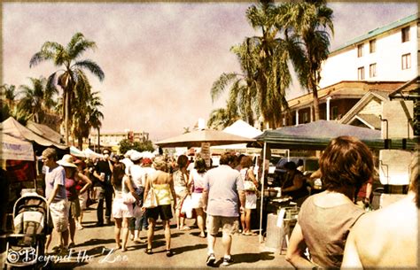 Little Italy Farmers Market - Adam McLane