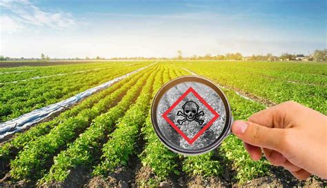 Saudi Arabia Pesticide Residue Testing Market Analysis, Growth, Opportunity, Size, Share, and ...