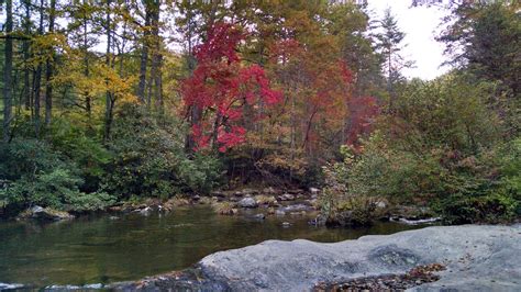 Pisgah National Forest Dispersed | The Dyrt