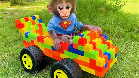 Baby monkey Bon Bon and puppy play with lego car and harvest watermelons in the garden - YouTube