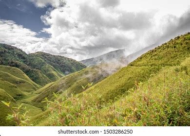 Dzukou Valley Beautiful Valley Flowers Thats Stock Photo 1503286250 ...