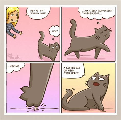 15 Comics Show Why It’s Never Boring To Live With A Cat