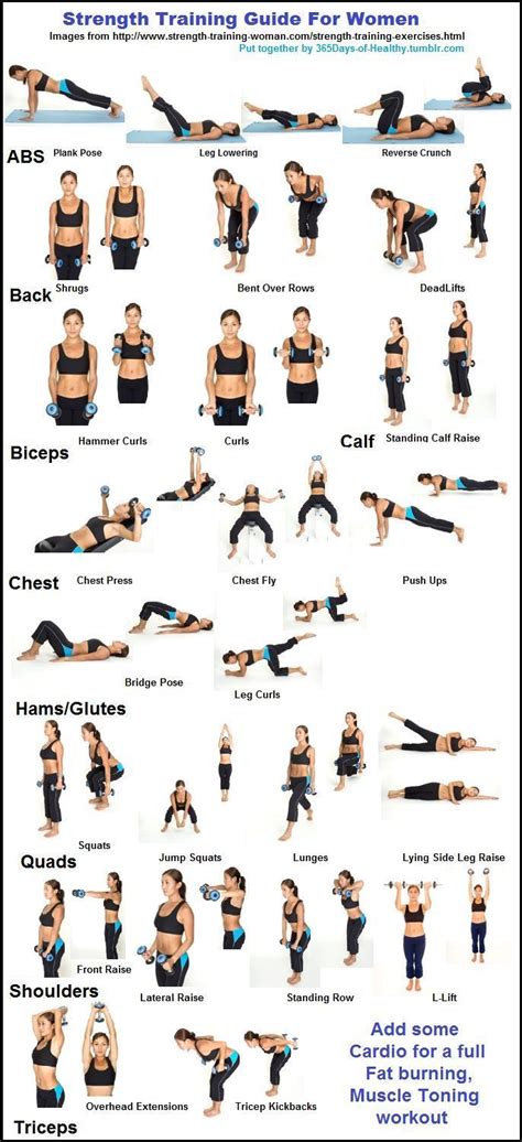 Strength Training Guide For Women fitness weights exercise health healthy living home exercise ...