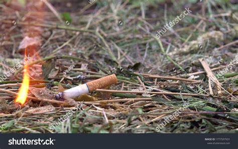 150,004 Cigarette fire Images, Stock Photos & Vectors | Shutterstock