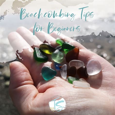 Beachcombing Tips for Beginners – Tidal Soul Studio