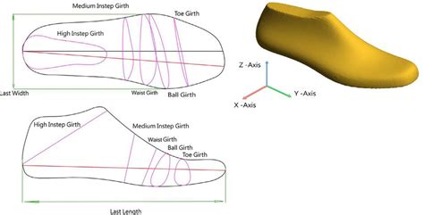 Characteristic girths for diabetic shoe last design which includes ...