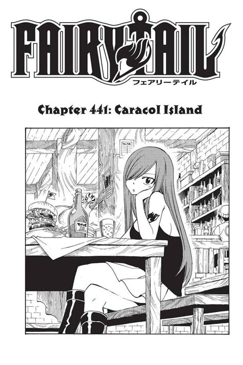 Erza Scarlet - Fairy Tail Manga Covers by sb-2712 on DeviantArt