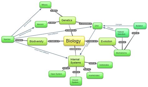 Branches Of Science Concept Map