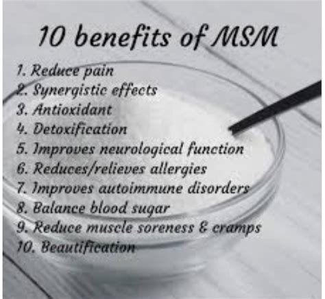 The 10 top Benefits of MSM- • Chasing the Sunshine Blog