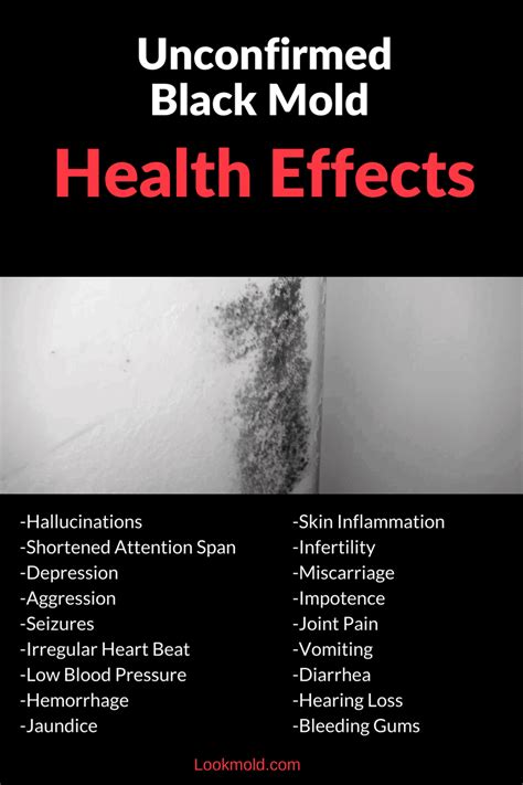 How Dangerous Is Black Mold? | The Truth About Toxic Black Mold