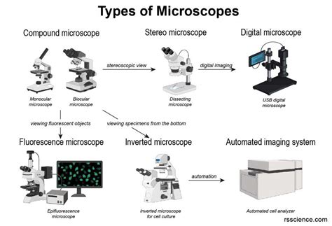 Different types of Microscopes – light microscope, electron microscope ...