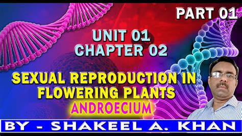 ANDROECIUM | STAMEN | MALE REPRODUCTIVE PART OF FLOWER | SEXUAL ...