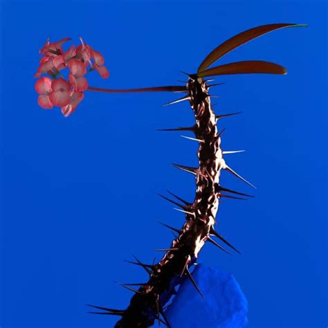 Flume "Enough" (ft. Pusha T) | Exclaim!