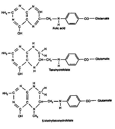 L-Methylfolate (5-MTHF): Your Must-Read Beginner’s Guide | Diet vs Disease