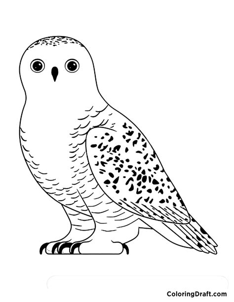 Snowy Owl Coloring Pages - ColoringDraft.com