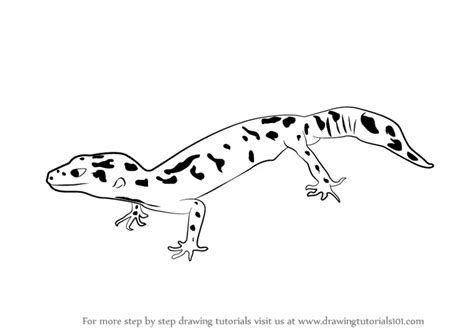 Learn How to Draw a Leopard Lizard (Reptiles) Step by Step : Drawing Tutorials