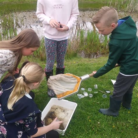 Amy Acorn's Forest School & Outdoor Activities | Sudbury, Suffolk