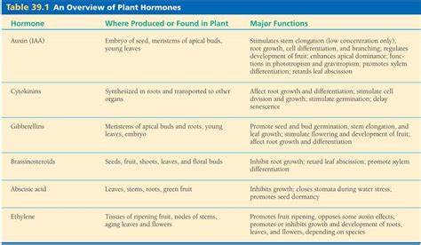 Plant Biotech: Plant Hormones and Growth Regulators