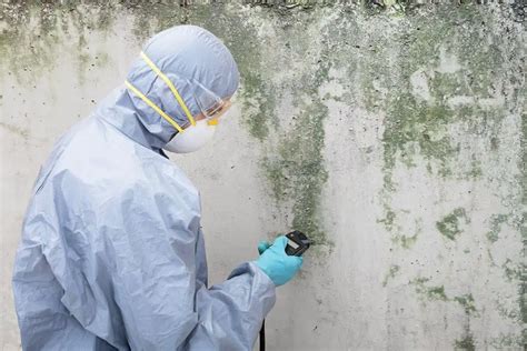 https://www.howtoremoveblackmold.com/mold-remediation/