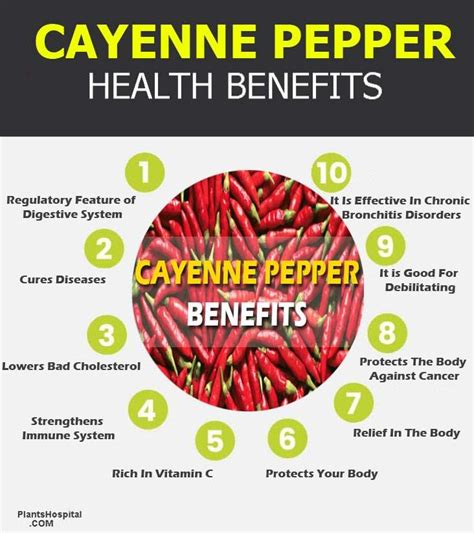 Cayenne Pepper: Health Benefits, Uses, Warnings And More