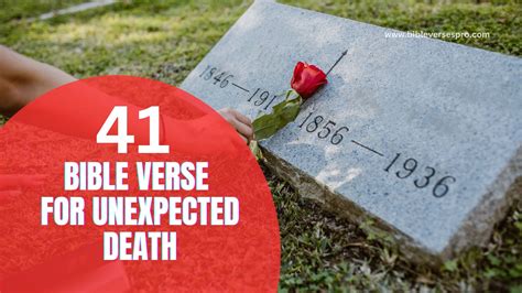 41 Bible Verse For Unexpected Death - Bible Verses