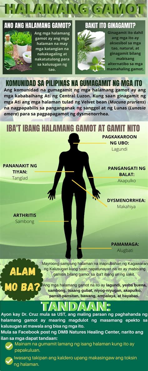 Halamang Gamot | Herbal medicine, Herbalism, Infographic