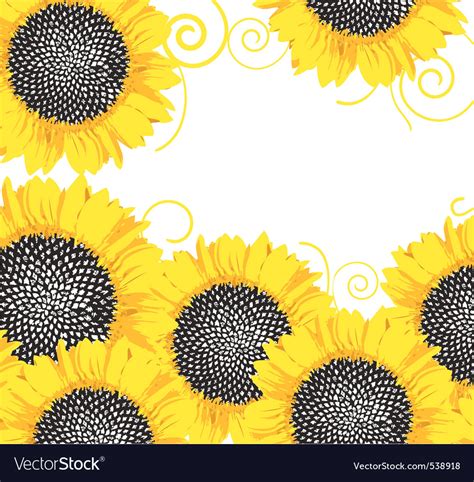 Sunflower border Royalty Free Vector Image - VectorStock