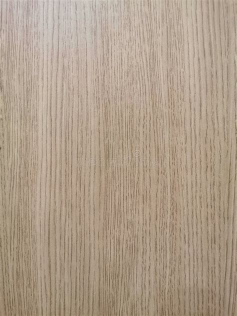 The Wooden Light Brown Texture Stock Photo - Image of hardwood, pattern ...