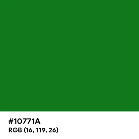 True Green color hex code is #10771A