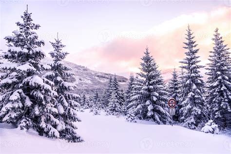 Beautiful winter forest landscape 784191 Stock Photo at Vecteezy