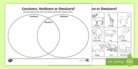 Sorting Carnivores, Herbivores, and Omnivores KS1 Worksheet