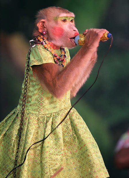 Funny Monkey Pictures » Female Singer