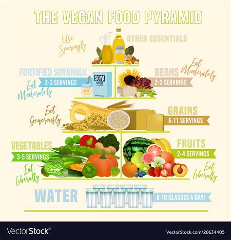 Vegan food pyramid Royalty Free Vector Image - VectorStock