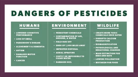 Harmful effects of insecticides and pesticides - rdplora