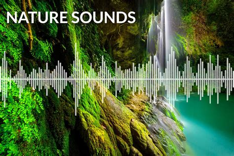 Nature Sounds - Natural Sounds for sleep, relaxing and meditation