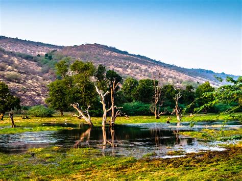 Ranthambore National Park | Mustseespots.com