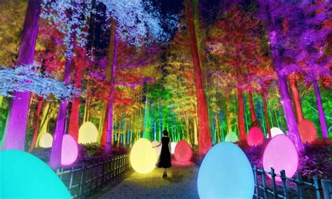 TeamLab’s Garden Interactive Installation Transforms Nature Into Art