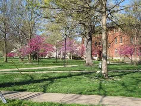 Appalachian Heartbeat: An Early Spring on the Berea College Campus