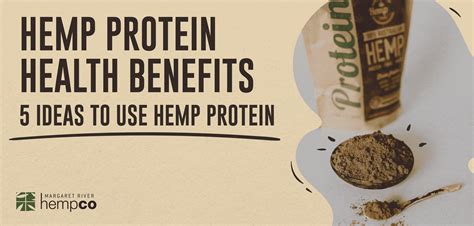 Hemp Protein Health Benefits | 5 Ideas To Use Hemp Protein | Margaret ...