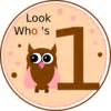 Birthday Owl Clip Art at Clker.com - vector clip art online, royalty free & public domain