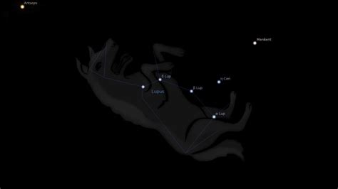 Lupus Constellation Meaning – Astrology King